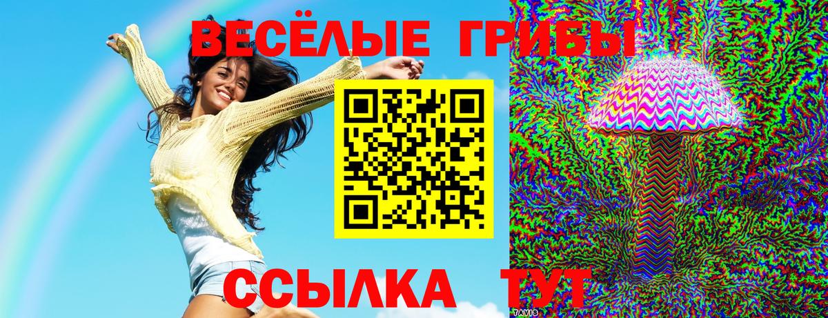 Галлюциногенные грибы мицелий  Псилоцибиновые грибы ЛСД  Вход с VPN  Лесной 